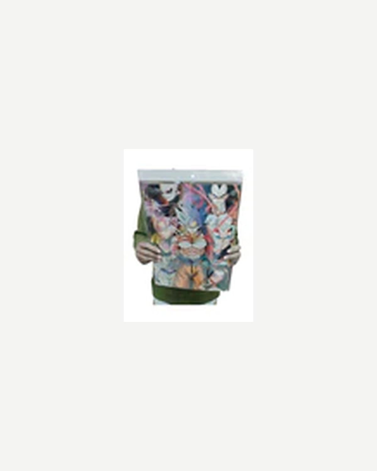 Dragon Ball Z 3D Poster — Pack of 2