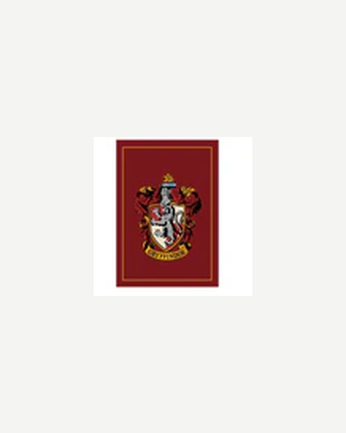 Hari Putter HP Diaries — Set of 2 A5